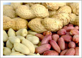 peanuts & Groundnuts